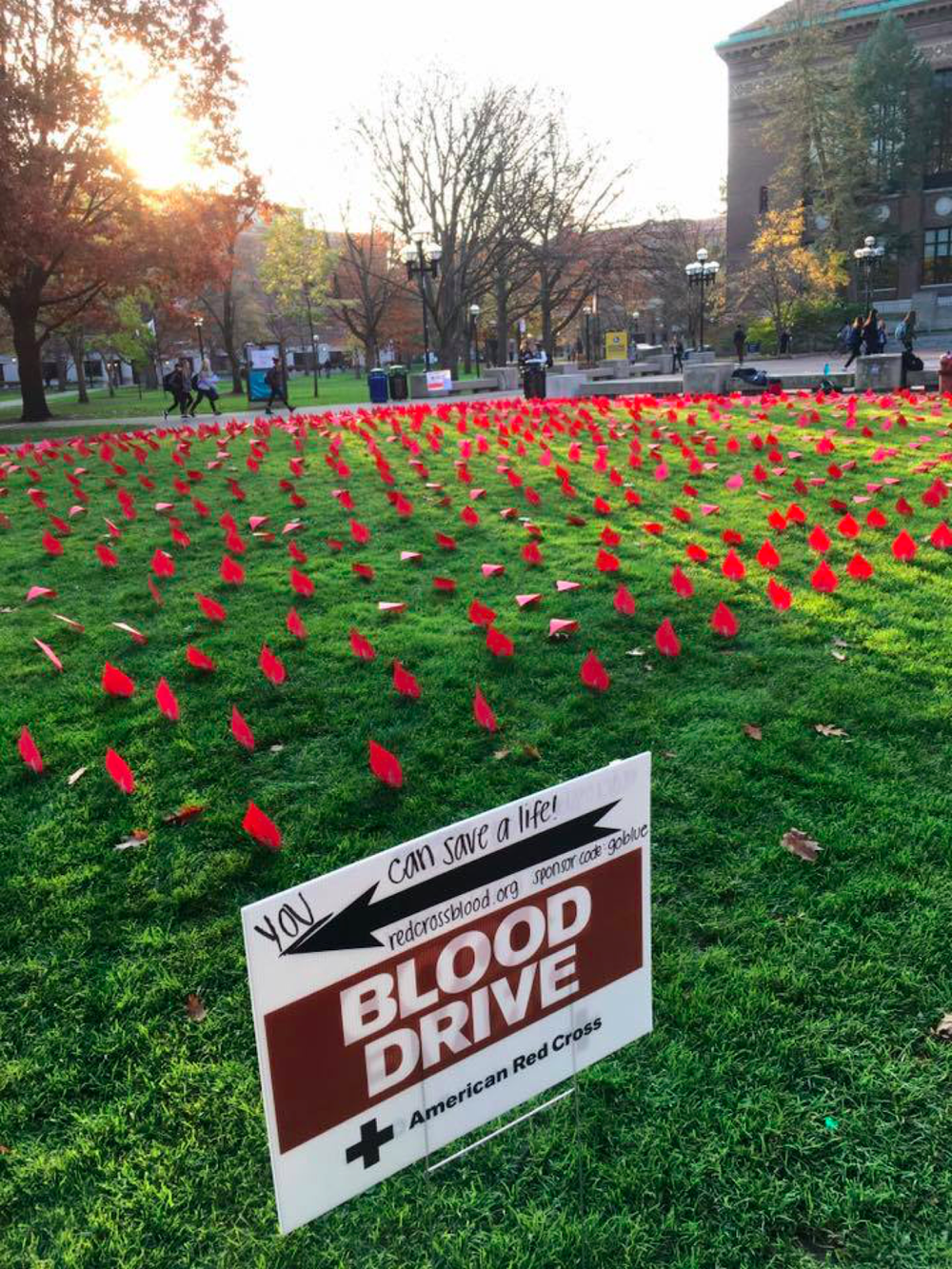 Hundreds of red blood drops covering the Diag beside a blood drive sign